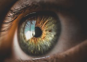 Detailed close-up of a vibrant human iris showcasing unique patterns and colors.